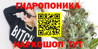 дмт Севастополь